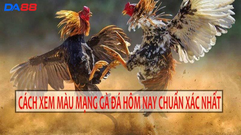 Phân tích xem màu mạng gà đá 12 con giáp