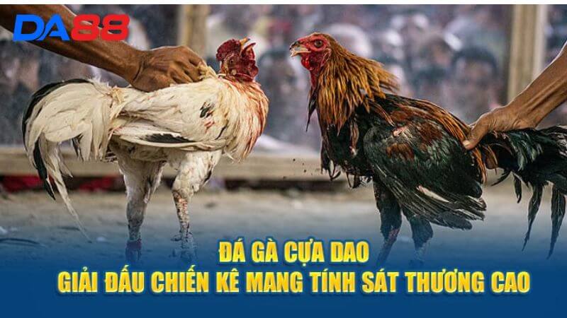 Những Ưu Điểm Khi Đăng Ký Đá Gà Cựa Dao