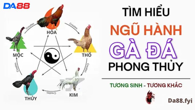 Xem màu mạng gà đá 12 con giáp